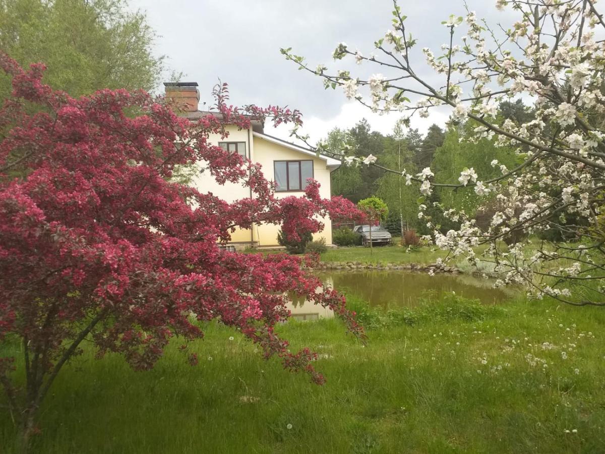 Guest House Pechersky & Sons Dreilini  Dış mekan fotoğraf