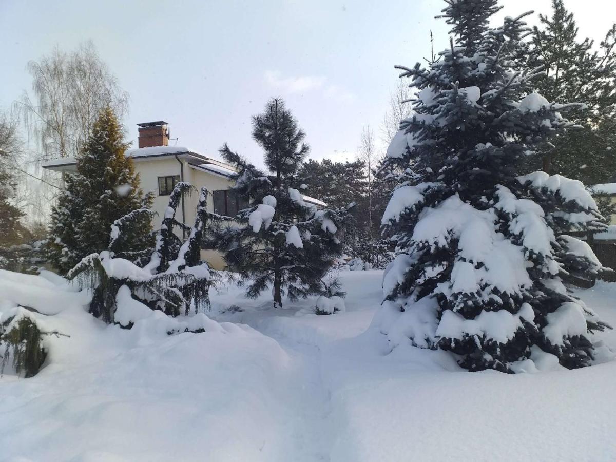 Guest House Pechersky & Sons Dreilini  Dış mekan fotoğraf